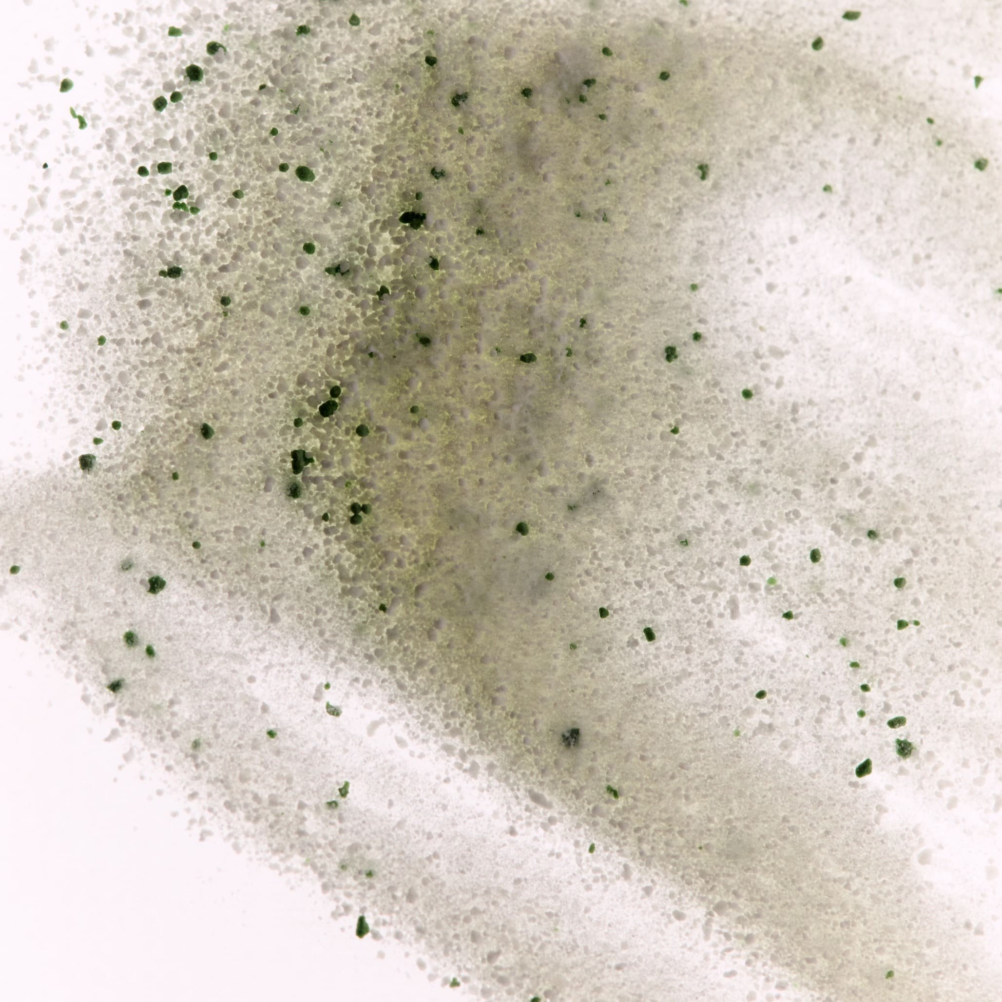 Энзимная пудра с экзосомами центели EXOSOME ENZYME CLEANSER 