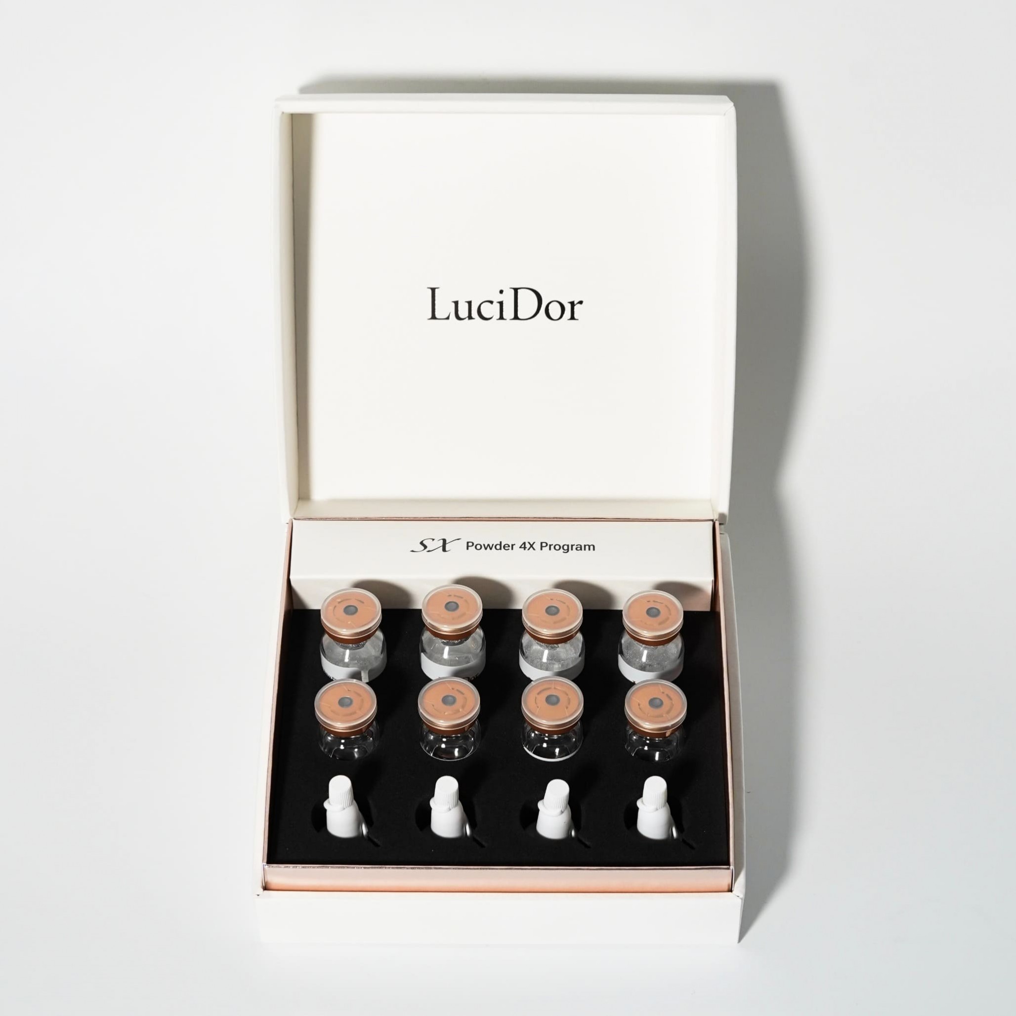 Программа Lucidor SX Powder Program