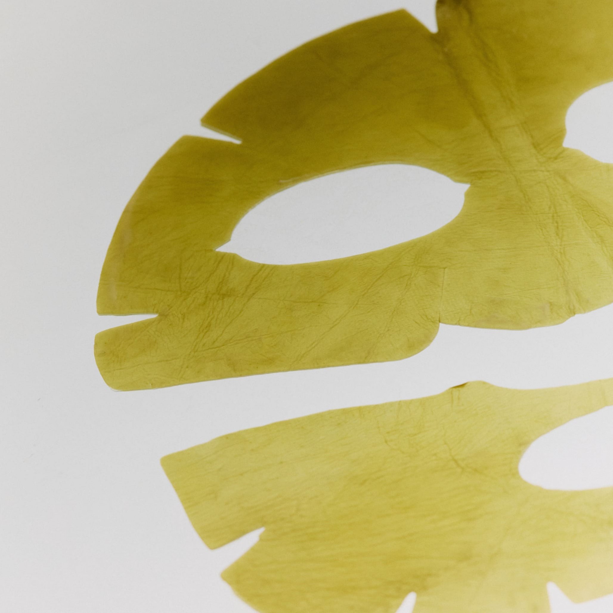 Маска для обличчя зі 100% натуральної ламінарії REAL KELP MASK                                                 