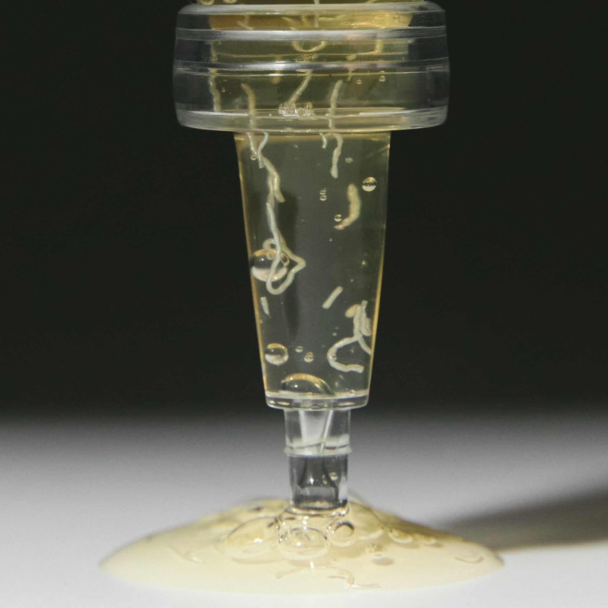 Ампули для обличчя Golden Cocoon Ampoule The Special