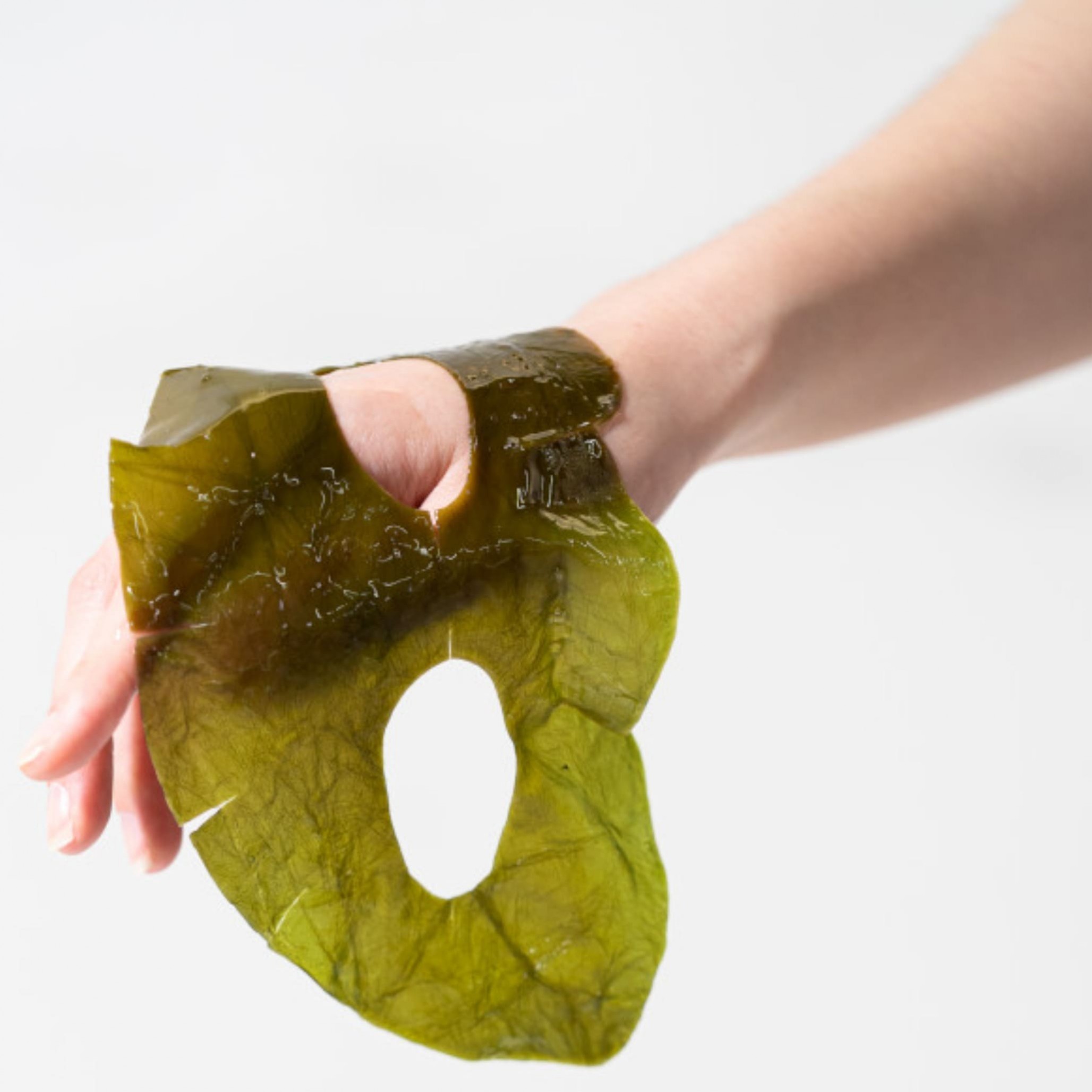 Органічна маска з ламінарії Whamisa Organic Algae Kelp Mask